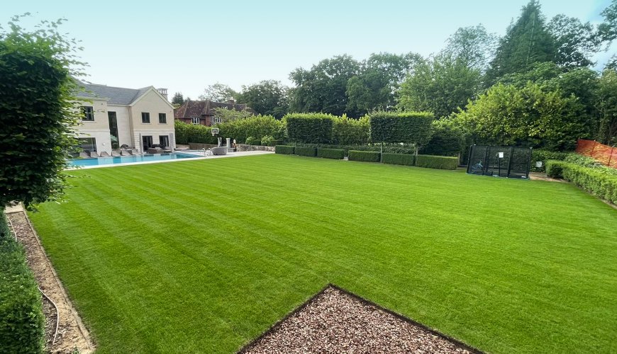 Residential Garden Lawn Renovation Radlett